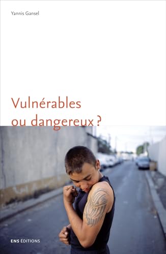 Vulnérables ou dangereux ?: Une anthropologie du souci des adolescents difficiles
