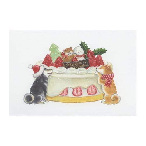 |XgJ[h ΂ʂƃNX}X cĉ yP[Lz킢 CMP-359