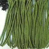 Seeds of India