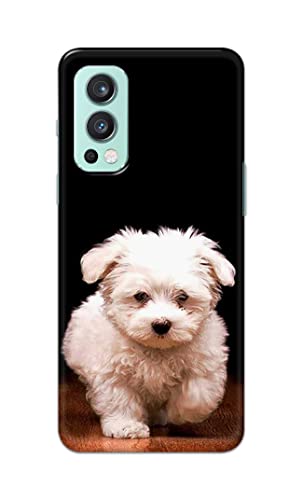 Image of PRINTFIDAA� Printed Hard Back Cover Case for OnePlus Nord 2 5G Back Cover (Puppy Dog) -2808