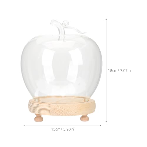 Cúpula de vidrio transparente con base brillante para decoración navideña y hogar 3