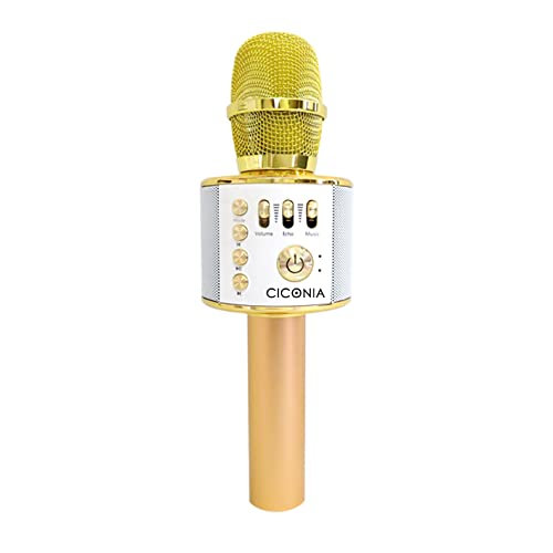 CICONIA カラオケミュージックマイク WMP-002