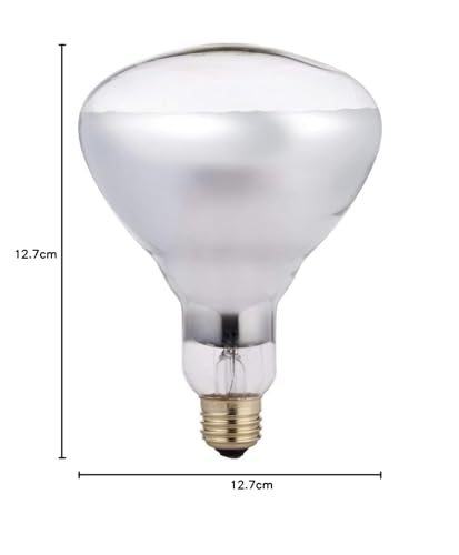 Philips 046677416744 250 W – Lamp (250 W, Br40)