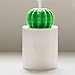 dongzhifeng USB Humidificador Sincronización de Cactus Difusor de Aromaterapia Mist Maker Fogger Mini Difusor de Aroma con Luz Nocturna para El Hogar