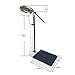 Produktbild Bathroom Scale Messen Von Höhe Und Gewicht Präzision Große Skala rutschfeste Werkbank Erhöhen Sie Den Messbereich 70-190 cm Bearing Weight 160kg