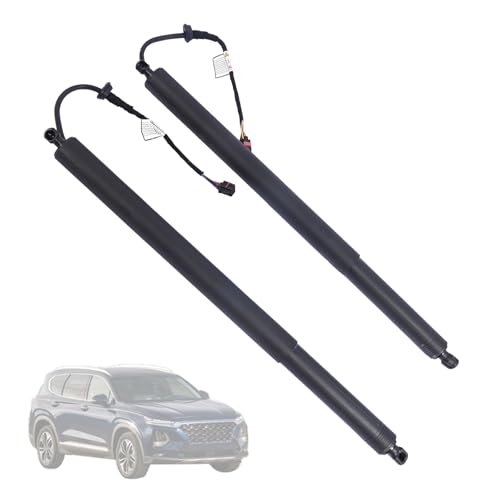 Getfarway 2Pcs Power Tailgate LH & RH 81831-S1100 81841-S1100 Compatible