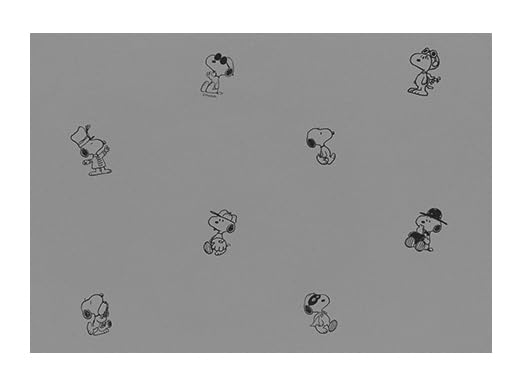 スヌーピーの絵 PEANUTS スヌーピーの絵画,セル画- ARTS&CINEMA