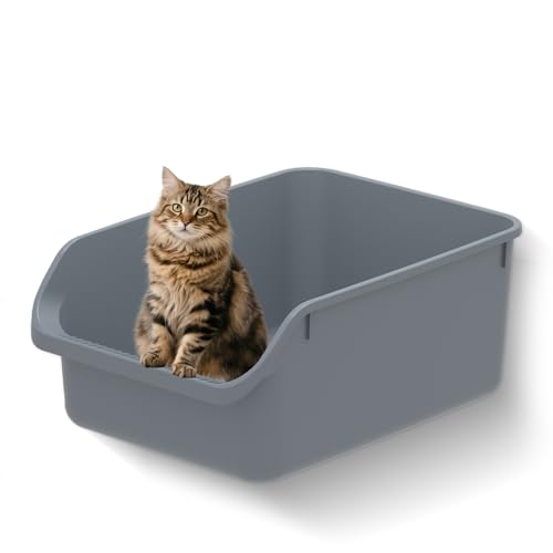 TAILRYTH Large Cat Litter Box with High Sides,Durable Open Top Cat Litter Pan for Kitty,Plastic...