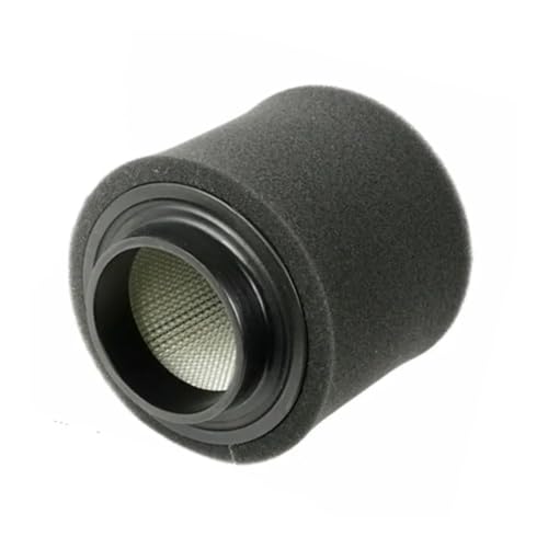 Filtre à air pour Sportsman 300 et Trail Blazer 250 Polaris - Remplacement 0452306