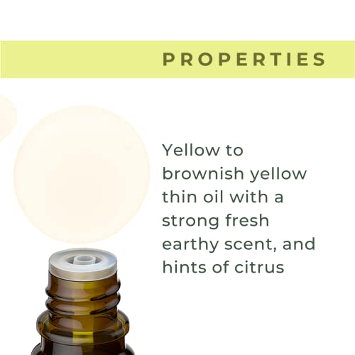 Xencare Organic Lemongrass Essential Oil - 100% Pure And Natural, 0.33 Fl Oz, 10Ml #TOP3