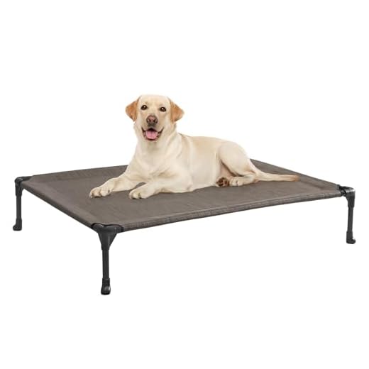 Veehoo Kühl Erhöhte Hundebett, Hundeliege Outdoor für Klein, Mittelgroße, Grosse Hunde, aus Waschbar & Dauerhaft Textilene Netzstoff, L, Braun