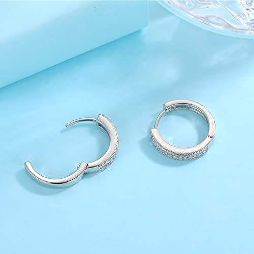 Small Silver Hoop Earrings for Women Men | Sterling Silver Earring Post Double-row Cz Cubic Zirconia Pave Hinged Huggie Hoops Cartilage Helix Earrings, Piercings Jewelry (8/10/12mm)