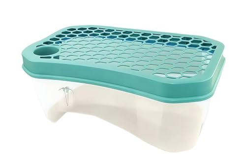 DUANLVLF 大きなカメ用水槽 爬虫類・両生類飼育容器 防 escape 蓋付き PP 材質 無臭 観賞用 丈夫で耐久性 滑り止めの這い上がり梯付き 緑植物設置可能 亀ケージ 飼育箱 加大空間設計(White+blue,60*35*25cm)