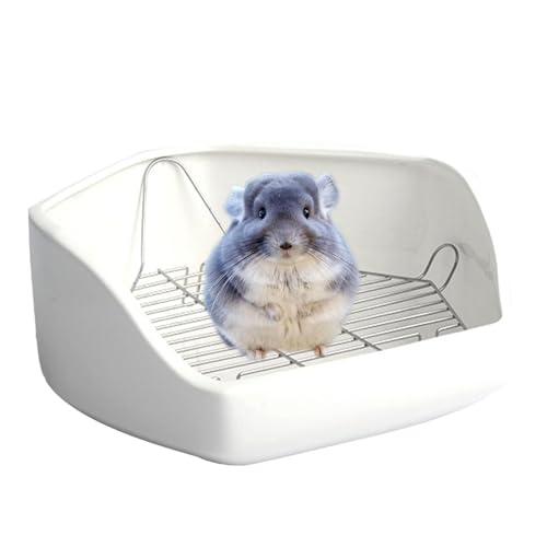 pgCAETMpgC,P[WR[i[gCpoj[gC | ^ybggCg[i[gCp܊p``{AAqp