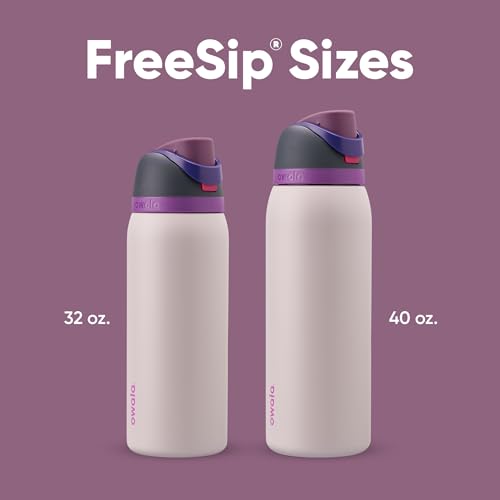 Image of Owala FreeSip Insulated Stainless Steel Water Bottle with Straw for Sports and Travel, BPA-Free, 40oz, Dreamy field