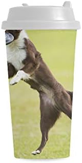 set di dischi da frisbee golf