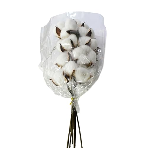 Pack de 10 tallos de flores de algodón natural secas miniatura 1