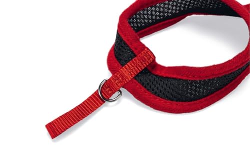 Karlie Kätzchengeschirr und -leine Harms L: 110 cm B: 10 mm Ha um: 25 - 38 cm S schwarz-rot