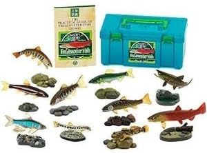 日本の淡水魚 カロラータ 日本の淡水魚 (立体図鑑) 魚 リアル ボックス 解説書スタンド付き