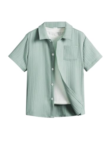 Image of TAGAS Toddler Boys' Striped Short Sleeve Casual Vacation Shirt ||Fancy Shirt || Party Shirt for Boys and Kids || Summer Shirt for Boys and Kids ||(BS-2033)