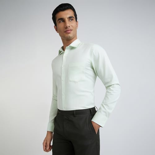 Image of Park Avenue Men Regular Fit Shirt