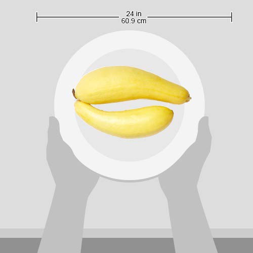 Produce Organic Yellow Squash, 1 Each