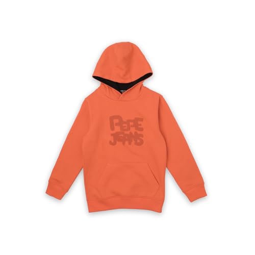 Image of Pepe Jeans Boys Sweatshirt
