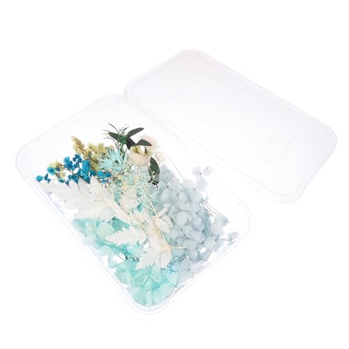 Kit de Flores Secas Prensadas para Manualidades miniatura 1