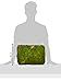 SuperMoss (21508) Preserved Sheet Moss, Fresh Green, 5 Pounds