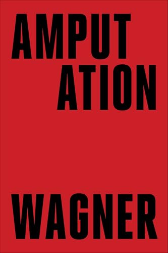 Amputation: A Novel view 2