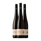 Johann Topf Grüner Veltliner Kamptal 75 cl Vino blanco (Caja de 3 Botellas de 75 cl)