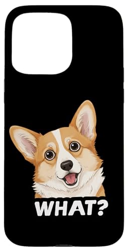 t@j[ER[M[EhbOă}}EppELbY X}zP[X iPhone 15 Pro Max p