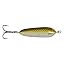 TENNESSEE SHAD