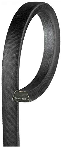 Ceinture pour pelouse Gates 6510BR pour entretenir grand jardin et verger en été