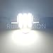 Ruiandsion 31MM Glove Box LED Bulb 6000K White 12V Non-Polarity 630Lm 3014 21SMD Chip for Car Interior Map Light Pack of 2