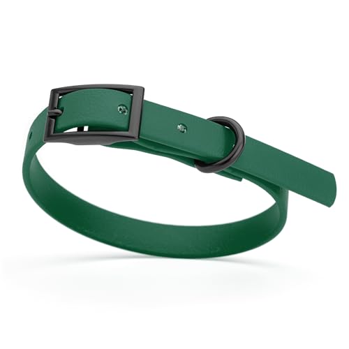 Image of Dogline Biothane Waterproof Dog Collar Strong Coated Nylon Webbing with Black Hardware Odor- Proof for Easy Care Easy to Clean High Performance Fits Small Medium or Large Dogs, Hunter Green