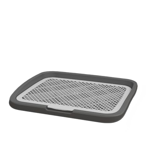 OGXN ^gC bVybggC tFXt O\ ێ ^ ^ ^p p (M-O[)