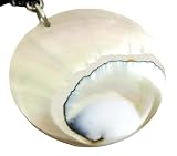 Open Nautilus Pendant Necklace