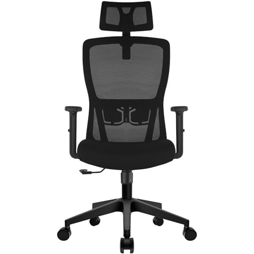 Durrafy Office Chair, Desk Chair with Adjustable Headrest, Lumbar support and Liftable Armrest, High...