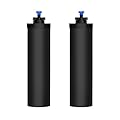 Water Filter Replacement for Berkey® Purification Elements Compatible with Berkey® Countertop Gravity Filter System Reduce Chlorine Black (Pack of 2)