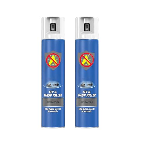 2 x 300ml Raìd Rapid Action Fly & Wasp Killer Spray, Leaves a Neutral Scent (Total 600ml)