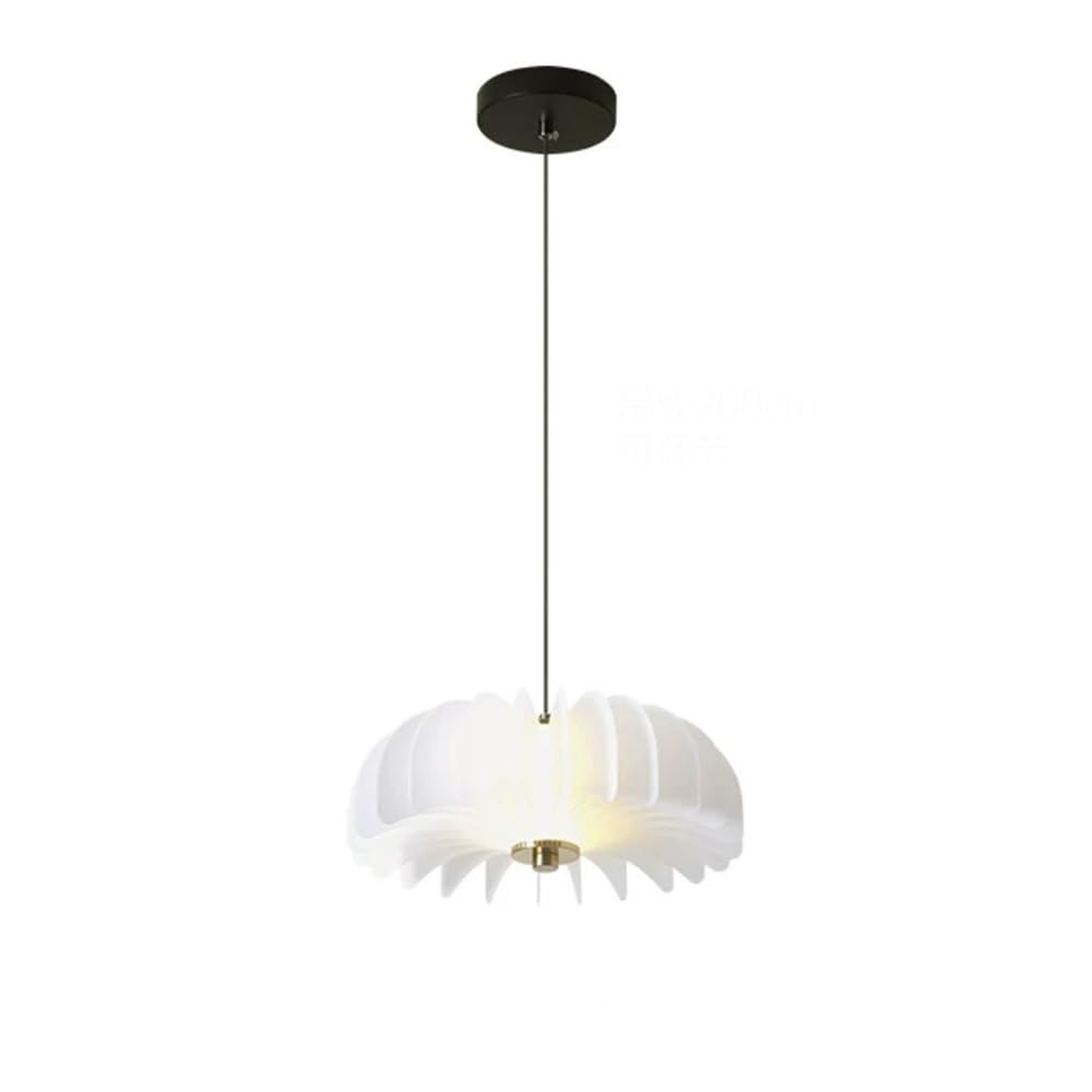 RSZCSMO Modern Minimalist Restaurant Chandelier Nordic Bedroom Study Acrylic Creative Chandelier, Suitable for Bar Cafes, Hotels and Clothing Stores, Lighting Fixture.