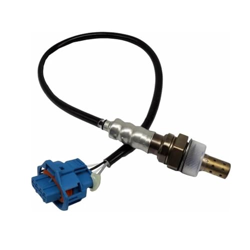 Sonde O2 et capteur pollution pour rouler sereinement en ville