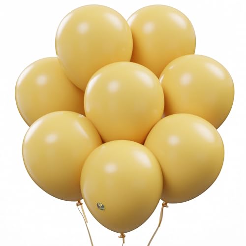 Image of AFTERLOON Biodegradable Natural Rubber Latex Balloons 24 pcs Apricot Yellow 10 Inch, Plastic-Free Alternative Matte Color Durable Thickened Extra Strong Helium Float, ballon Globos Decor De Fiestas