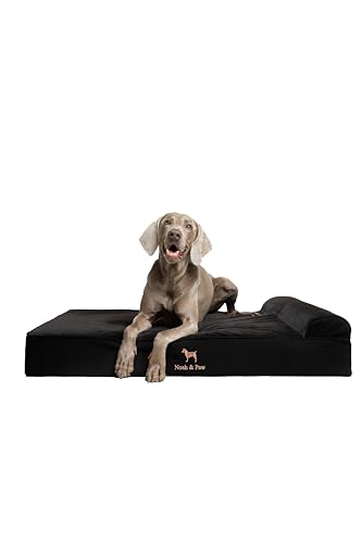 NOAH & PAW XL Dog Bed, 45x35x11 Inch, Orthopedic Large Dog Beds, Eggshell Memory Foam Infused with Cooling Gel, Waterproof, Machine Washable, Includes Inner Cover (Denim Collection)