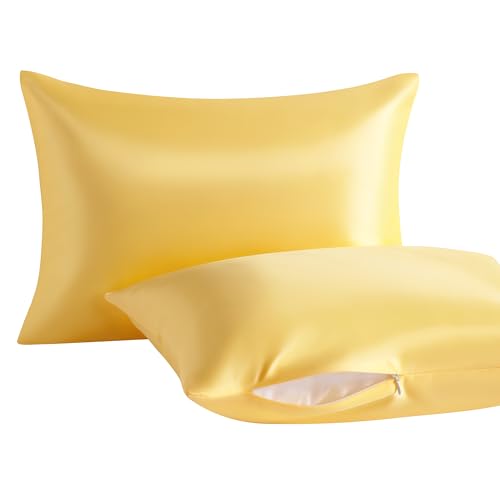 Image of NTBAY 2 Pack Pillows with Stain Pillowcases, Soft Cotton Down Alternative 13x18 Zippered Pillows for Sleeping - Machine Washable - Breathable Travel Pillow, Yellow