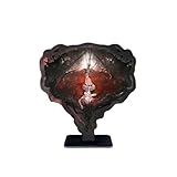 immagine banner Amazon