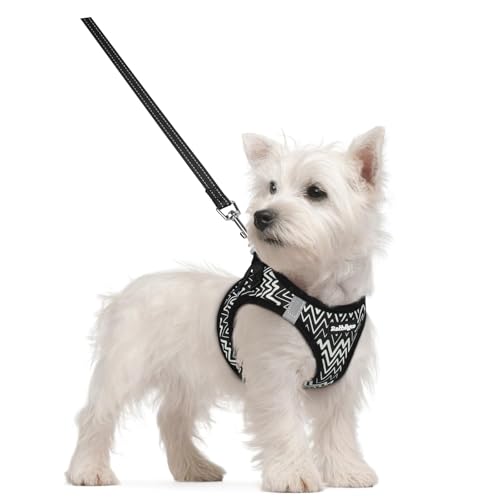 Image of rabbitgoo Dog Harness Small Sized and Leash Set, Step-in Puppy Pet Vest