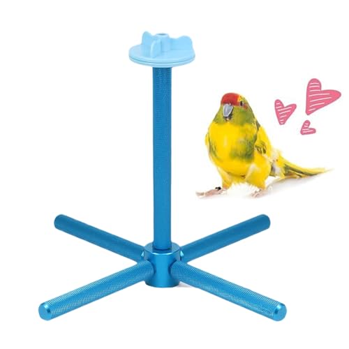 Accessoire interactif calopsittes perchoir oiseaux support cage à mâcher