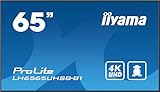 iiyama